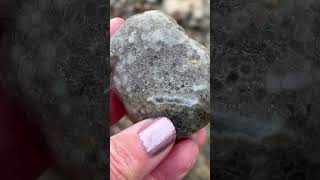 Southwest lower Michigan rock hunt #rockhound #lakemichigan #michigan #southhaven #mentalhealth