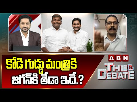 కోడి గుడ్డు మంత్రికి జగన్ కి తేడా ఇదే.? | TDP Vidya Sagar Comments On Jagan, Amarnath | ABN - ABNTELUGUTV