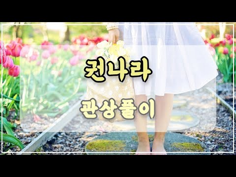 관상과학 권나라 관상 「'이것' 을 갖춘건 천복이다」