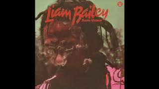Liam Bailey - Dance With Me