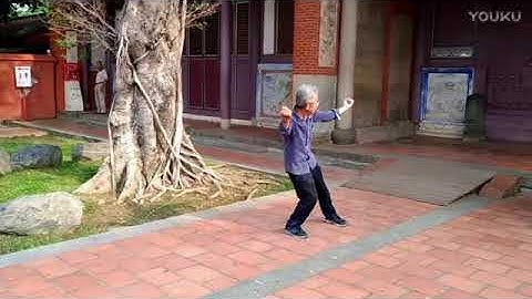 Xing Yi Quan (Hsing I Chuan) 5 elements 形意 五行拳 Hình ý quyền