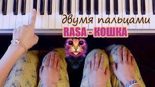 Rasa - КОШКА / ЛЕГКО ДВУМЯ ПАЛЬЦАМИ на пианино + текст Resimi