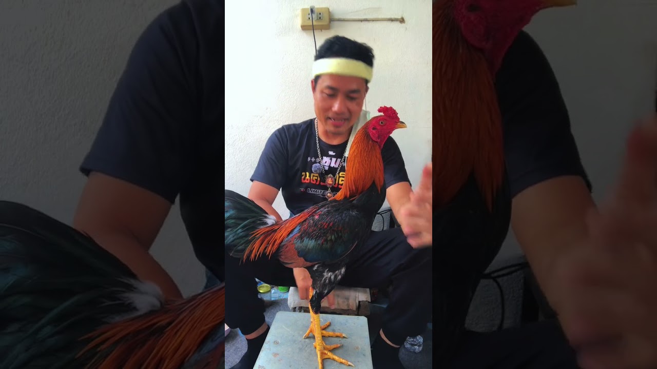 14 กุมภาพันธ์ 2569