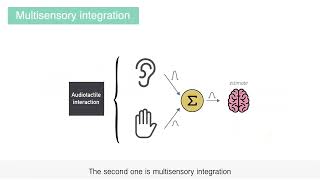 Opportunities for Multisensory Mid-air Interactions Featuring Ultrasound Haptic Feedback