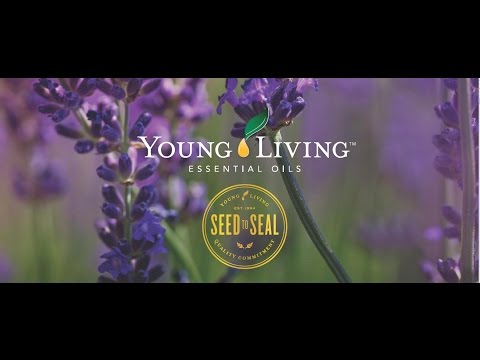 Сок из ягод Годжи NingXia Red от Young Living