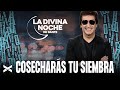 Cosecharás Tu Siembra - La Divina Noche de Dante Gebel