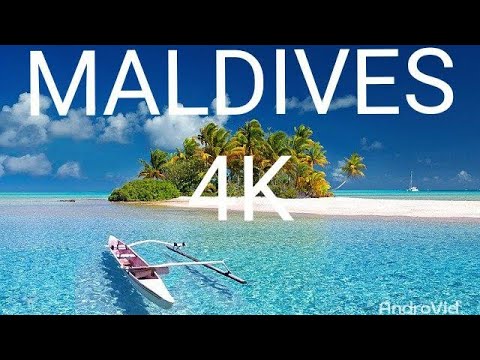वीडियो: कहाँ आराम करें: डोमिनिकन गणराज्य, मालदीव या श्रीलंका
