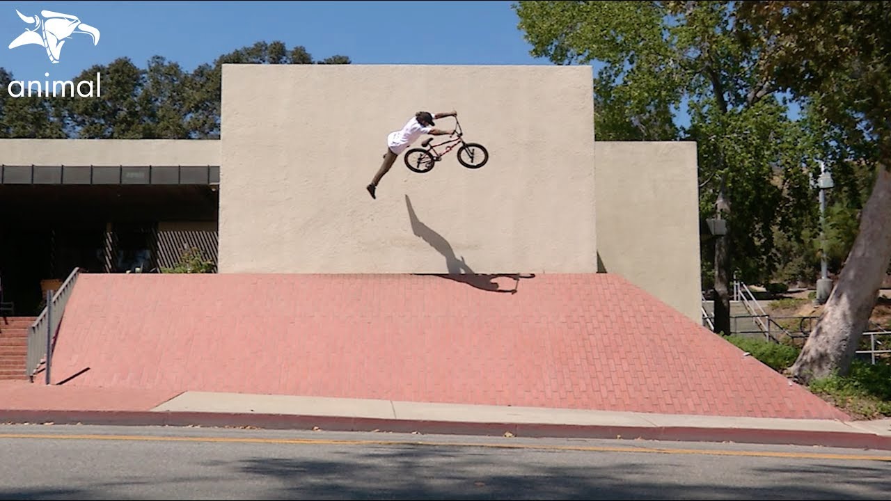 top movies on netflix BMX - ANIMAL BIKES - ANIMAL HOUSE LA