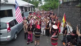 Singau Buda - D'Hibiscus