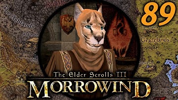 We Find Some Bugs - Morrowind Mondays: Tamriel Rebuilt #89