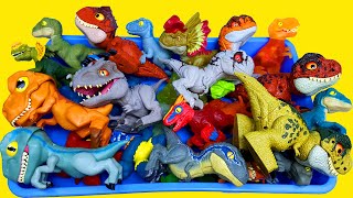 Various Dinosaurs Sound &amp; Goo jit zu Dinosaurs T-rex Giganotosaurus  Pyroraptor Learn dinosaur names