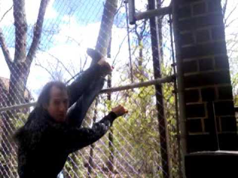 Narrated Heel Stretch Tutorial - Using Chain link Fence 3 financial collapse blog