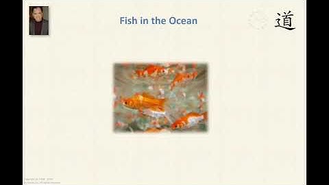 Fish In The Ocean, A Tao Story With Derek Lin