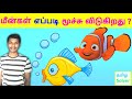 How do fish breathe in water TAMIL SOLVER