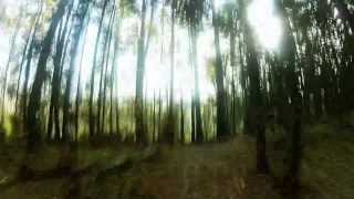 Bike Ride 20131013