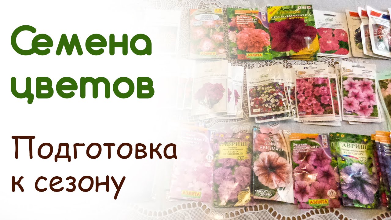 Беккер Интернет Магазин Розы Каталог