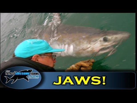 JAWS - Biggest shark in UK!! - ORIGINAL FOOTAGE - Graeme Pullen & Wayne Comben - TAFishing