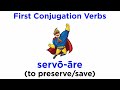 Latin Verb Conjugation Concepts