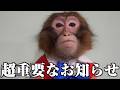 ルートくんについて…ちょっと知っておいてほしいことがあります