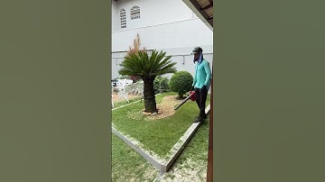 Cắt cỏ định kỳ và chăm sóc cây sân vườn để có một khu vườn đẹp #zions #nhadep #landscape