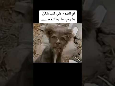 العثور على كلب على شكل بشر في مقبرة النجف