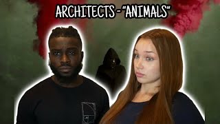 Architects - “Animals” || REACTION VIDEO!!!