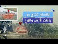 القسام تنشر استهداف عدد من الجنود والآليات شرق دير البلح وسط قطاع غزة القسام تنشر استهداف عدد من الجنود والآليات شرق دير البلح وسط قطاع غزة