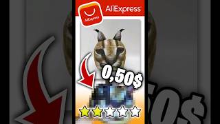 Big Floppa from AliExpress! #bigfloppa #floppa #aliexpress