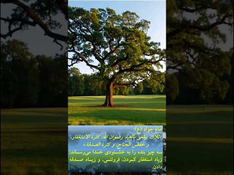 سه چیز بنده را به خشنودی خدا می رساند زیاد استغفار کردن فروتنی و زیاد صدقه دادن