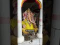 Jai Ganesh Baba #ytshorts #shortsfeed #jaiganesha #jaigajanand #ganpatibappa #mangalmurtimoriyan