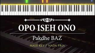 Opo Iseh Ono ( Karaoke Akustik Piano - MALE KEY ) - Pakdhe BAZ
