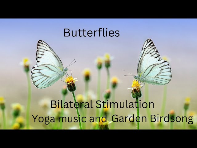 Butterflies and Bilateral Stimulation Birdsong, Attention Training  Practice, Relaxation. Yoga Music 