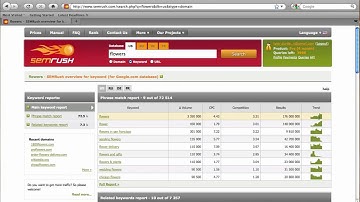 How to use SEMRush.com for keywords research?