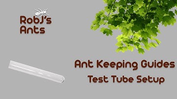 Test Tube Setup (Ant-Keeping Tutorial/Guide)
