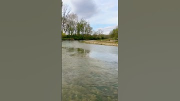 Micro fishing for exotic freshwater fish 😳 #microfishing #fish #indiana