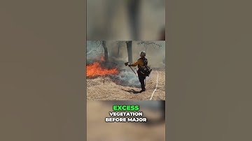 Wildfire Crisis  Solutions to Live Smarter with Fire