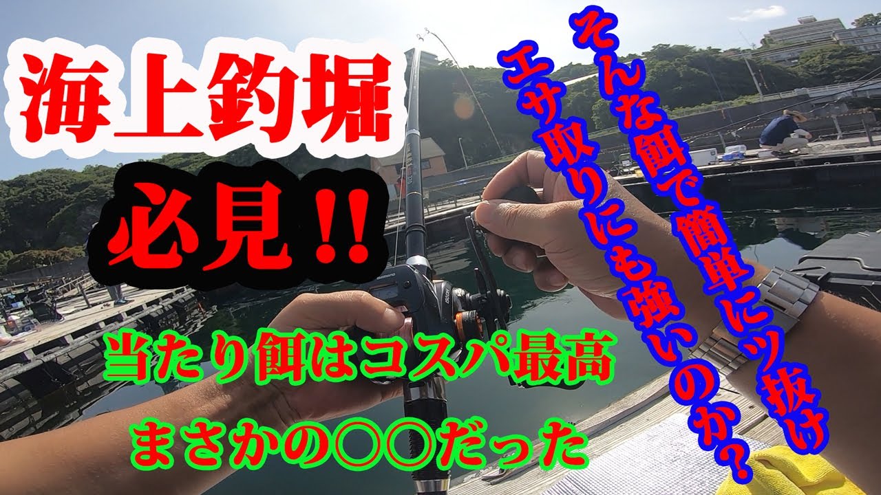 海上釣堀 簡単ツ抜け 最強コスパ餌 エサ取り対策 雑賀埼シーパーク Youtube
