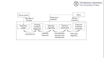 Tracking and Catching of a Thrown Ring (long version)