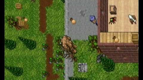 Tibia in 3D Perspective