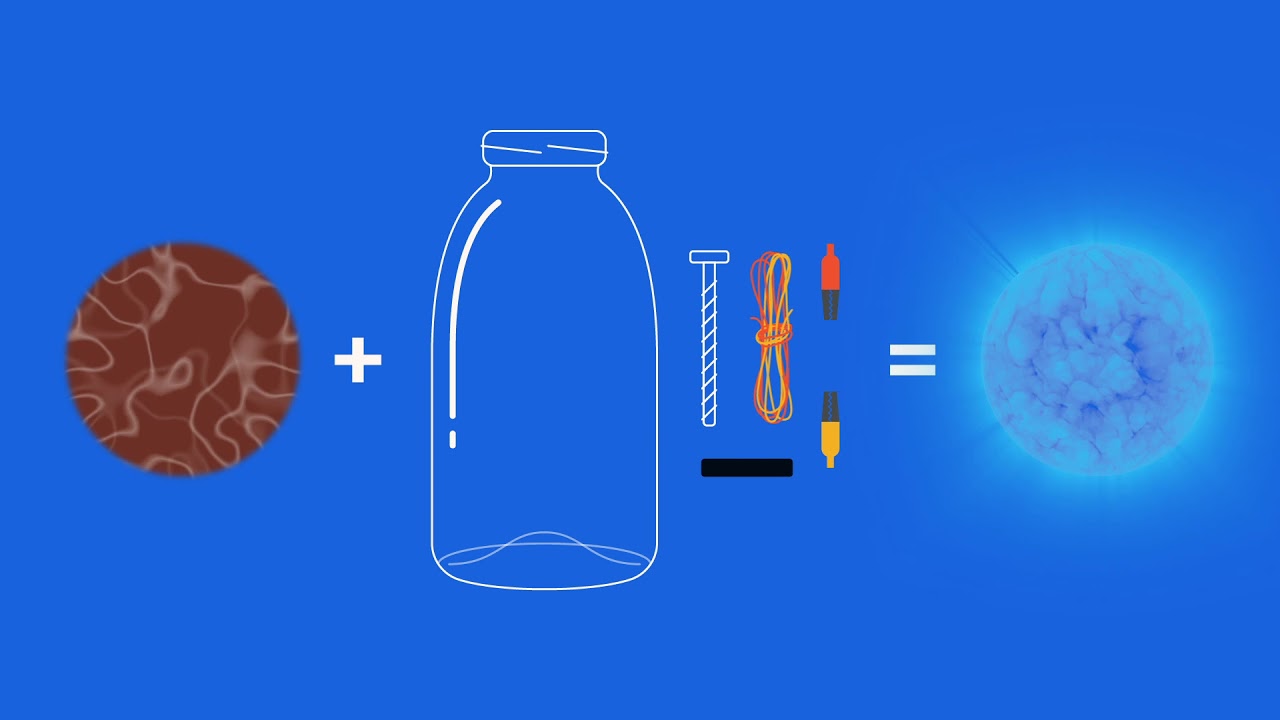 How does a microbial fuel cell work?