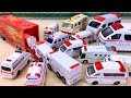 Various Ambulance toy Runs into Disney Pixar Cars Mack Truck はたらくくるま救急車のミニカーがディズニーカーズマックに乗るGizmone