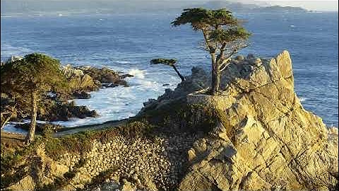 سورة المائدة بصوت القارئ محمد شرف الحلواني