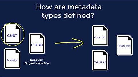 Viewing Metadata
