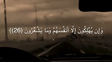 تلاوة من سورة الأنعام | القارئ: عمر عبدالعزيز.