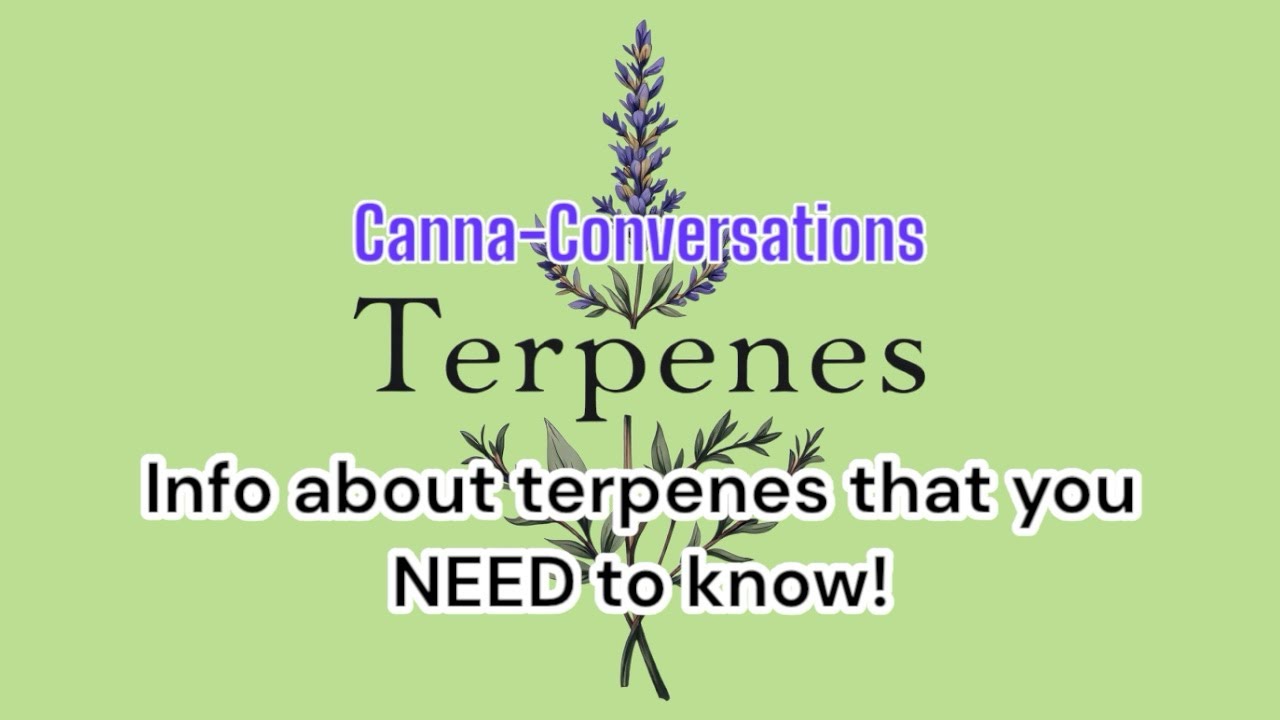 Terpenes 101: Cheese strains & more