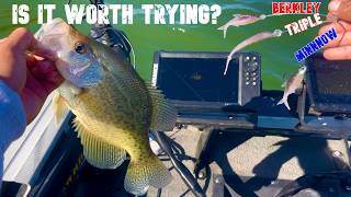 Spring Crappie Fishing Before They Close The Lake Forever | Berkley Triple Minnow Rig | Woodward Res