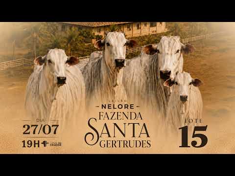 Lote 15 GSAB A964 A964 DA AFB