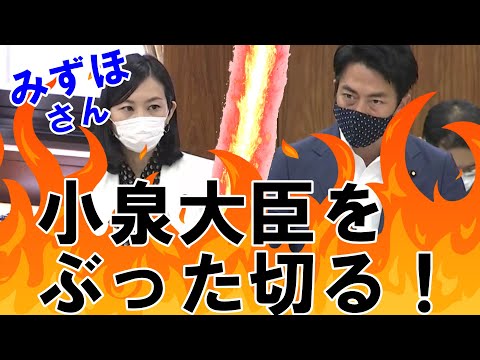 小泉進次郎大臣を、梅村みずほがぶった斬る！「それって他の人でもできるんじゃないですか？？」