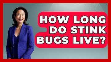 How Long Do Stink Bugs Live? - Insects and Invaders