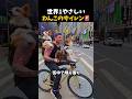 サイレンがつなぐやさしい時間🚨